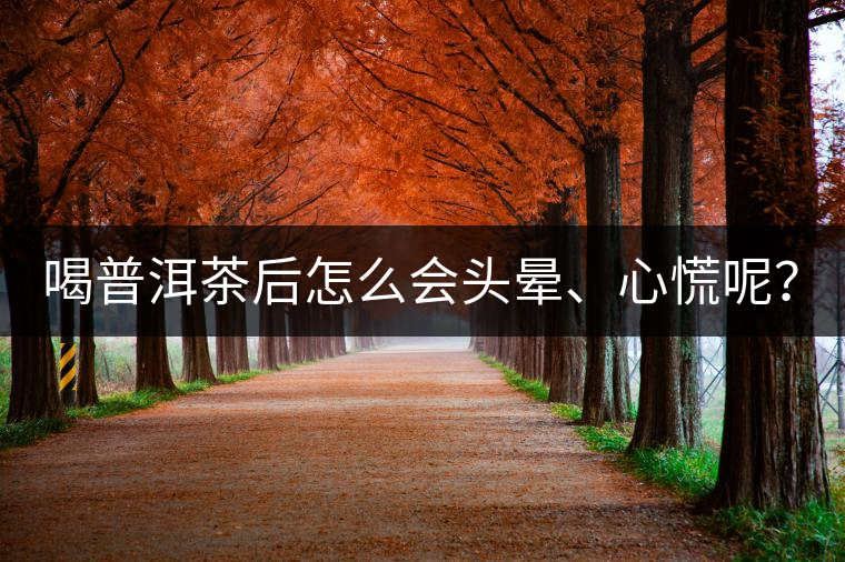 喝普洱茶后怎么會頭暈、心慌呢？