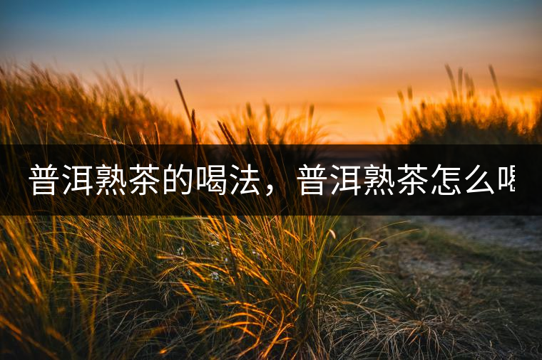 普洱熟茶的喝法，普洱熟茶怎么喝？