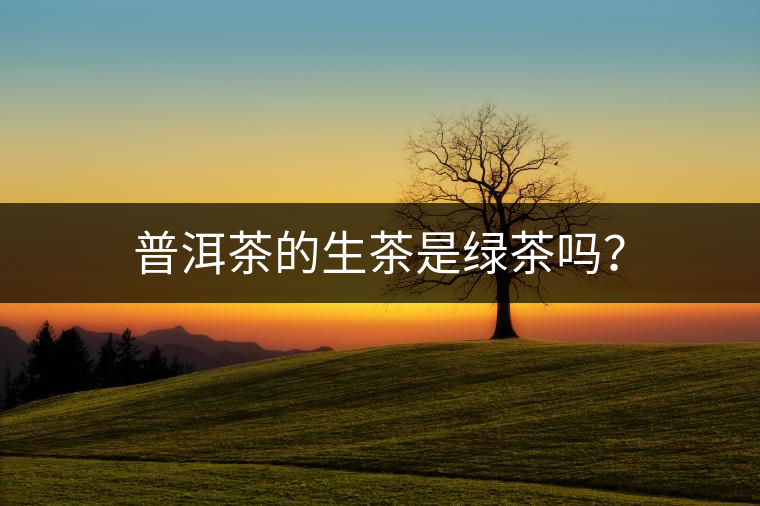 普洱茶的生茶是綠茶嗎？