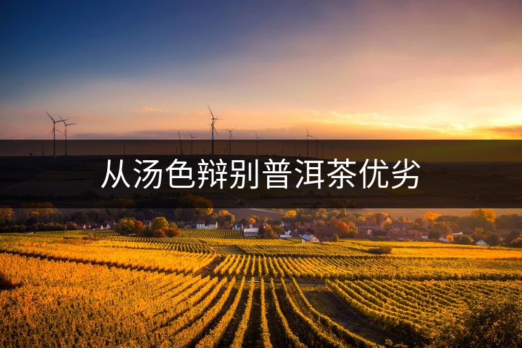 從湯色辯別普洱茶優(yōu)劣 從湯色辯別普洱茶優(yōu)劣