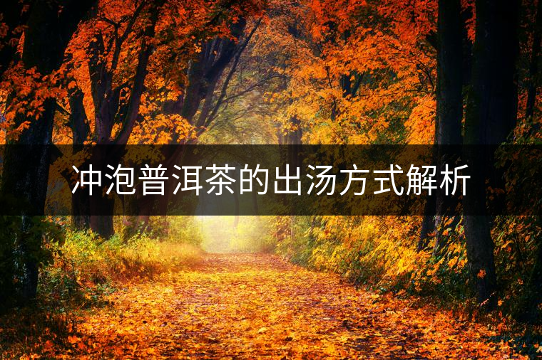 沖泡普洱茶的出湯方式解析 沖泡普洱茶的出湯方式解析
