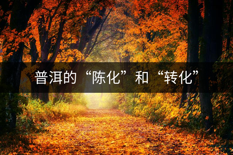 普洱的“陳化”和“轉(zhuǎn)化”