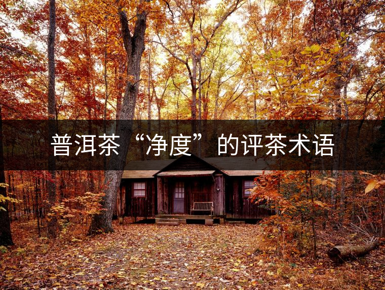 普洱茶“凈度”的評茶術(shù)語