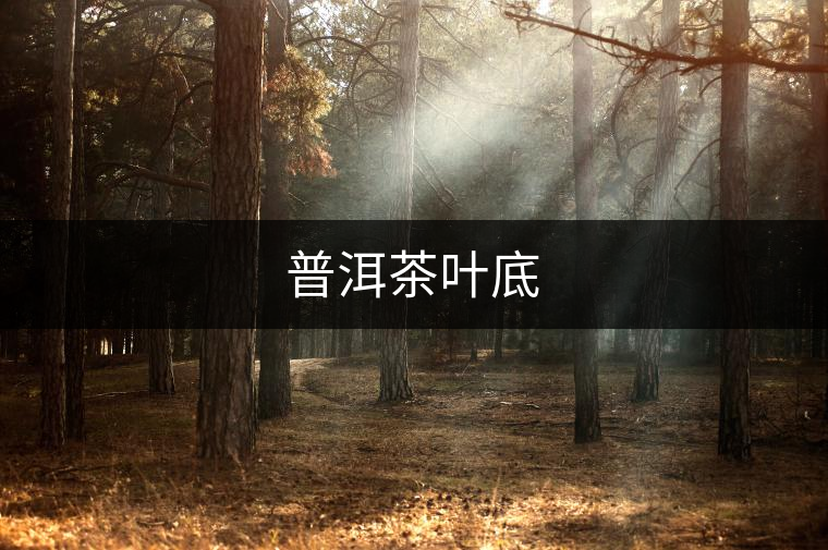普洱茶葉底 普洱茶葉底