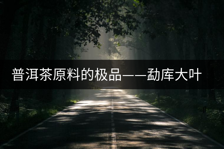普洱茶原料的極品——勐庫大葉種茶 普洱茶原料的極品——勐庫大葉種茶