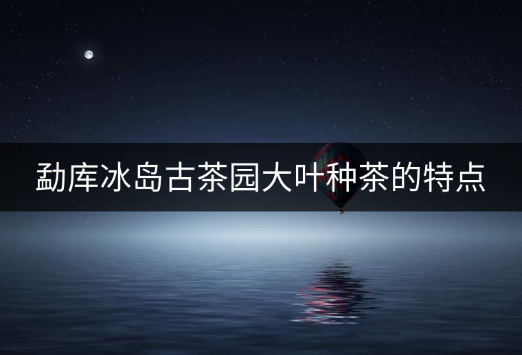 勐庫冰島古茶園大葉種茶的特點(diǎn)