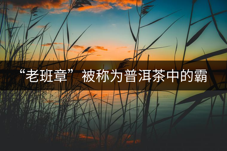 “老班章”被稱為普洱茶中的霸王