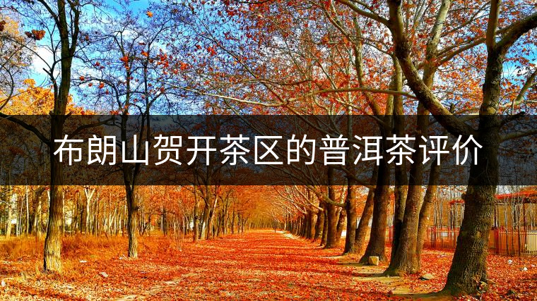 布朗山賀開茶區(qū)的普洱茶評價(jià) 布朗山賀開茶區(qū)的普洱茶評價(jià)