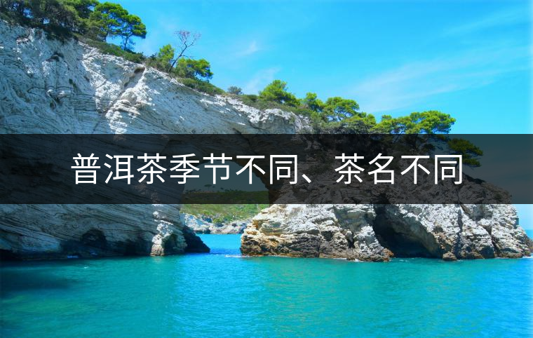普洱茶季節(jié)不同、茶名不同
