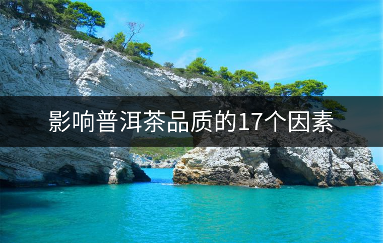 影響普洱茶品質(zhì)的17個(gè)因素
