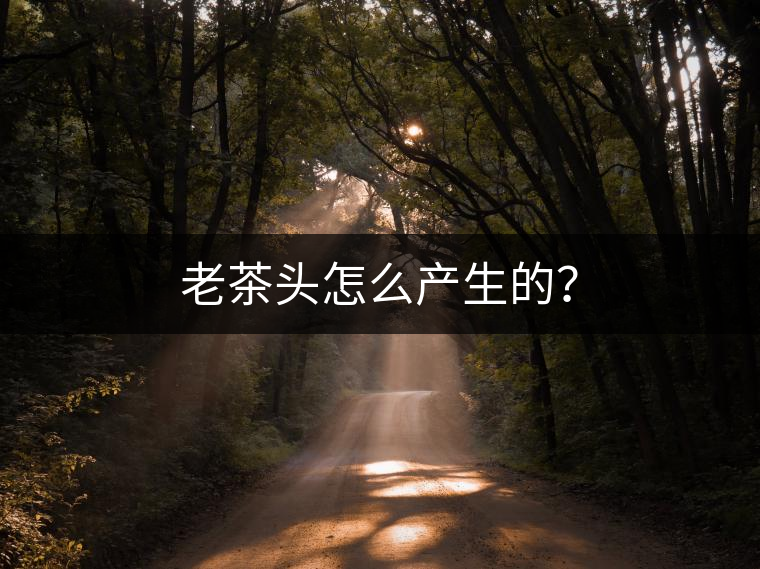 老茶頭怎么產(chǎn)生的？