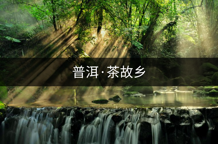 普洱·茶故鄉(xiāng)