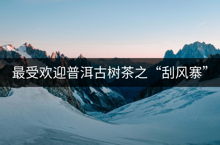 最受歡迎普洱古樹茶之“刮風(fēng)寨” 最受歡迎普洱古樹茶之“刮風(fēng)寨”