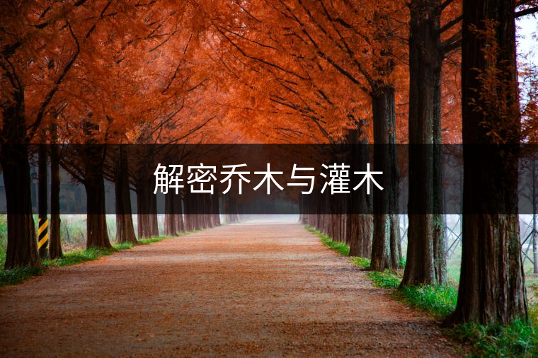 解密喬木與灌木