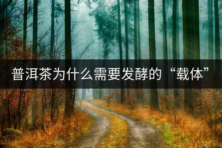 普洱茶為什么需要發(fā)酵的“載體”？