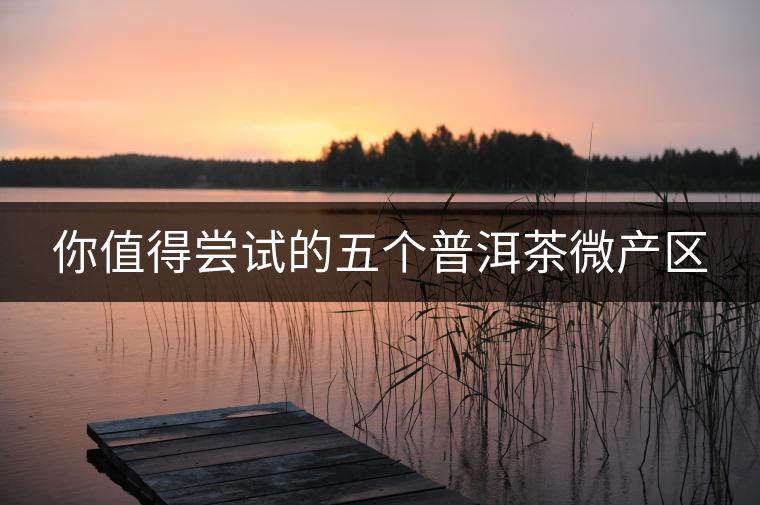 你值得嘗試的五個(gè)普洱茶微產(chǎn)區(qū)