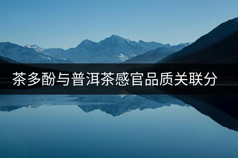 茶多酚與普洱茶感官品質(zhì)關(guān)聯(lián)分析 茶多酚與普洱茶感官品質(zhì)關(guān)聯(lián)分析