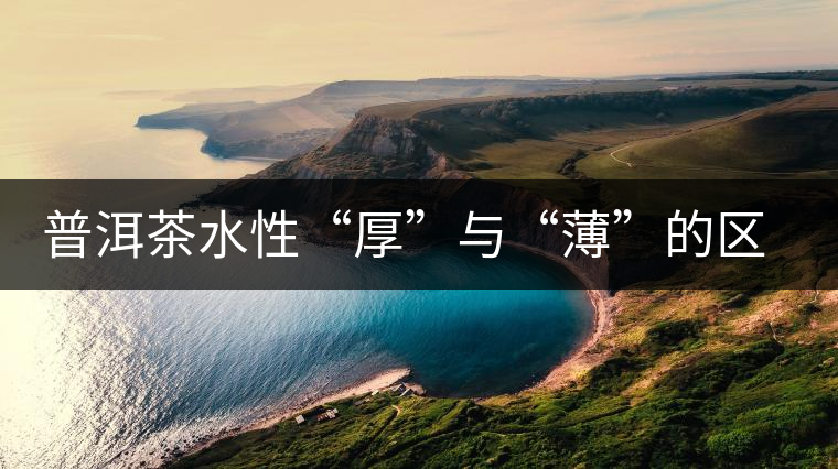 普洱茶水性“厚”與“薄”的區(qū)別