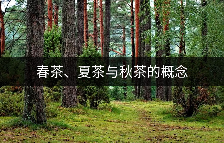春茶、夏茶與秋茶的概念