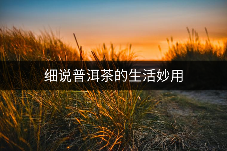 細說普洱茶的生活妙用