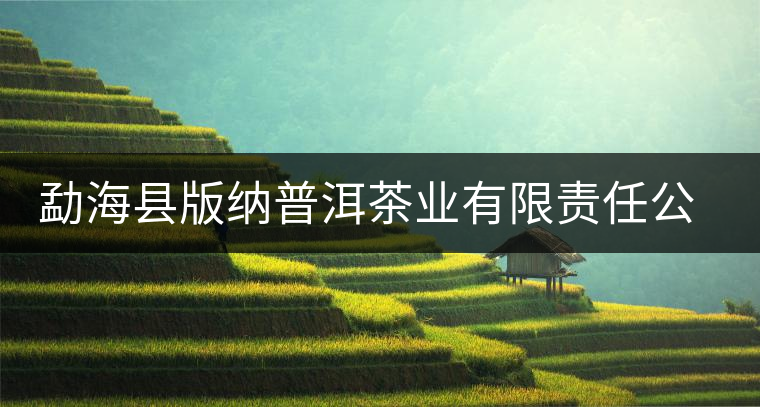 勐?？h版納普洱茶業(yè)有限責(zé)任公司