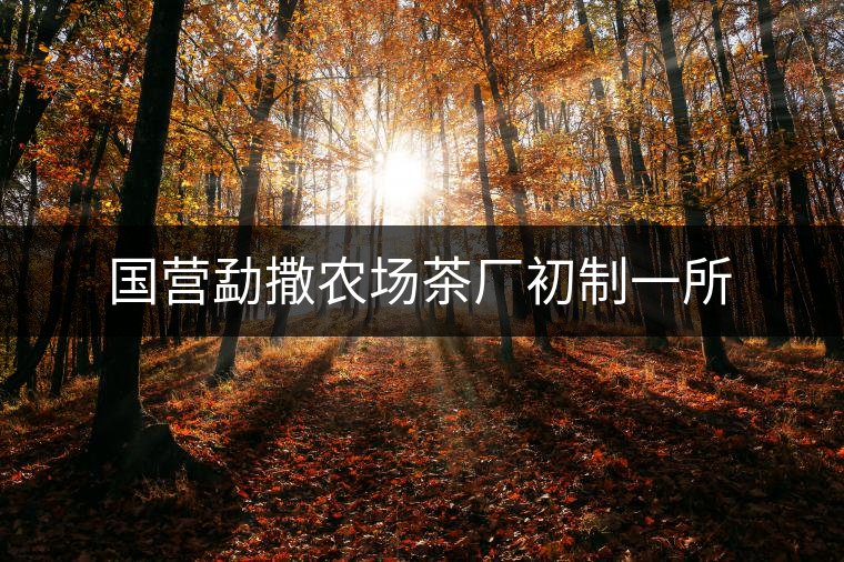 國營勐撒農(nóng)場(chǎng)茶廠初制一所 國營勐撒農(nóng)場(chǎng)茶廠初制一所
