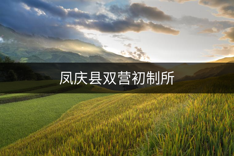 鳳慶縣雙營初制所