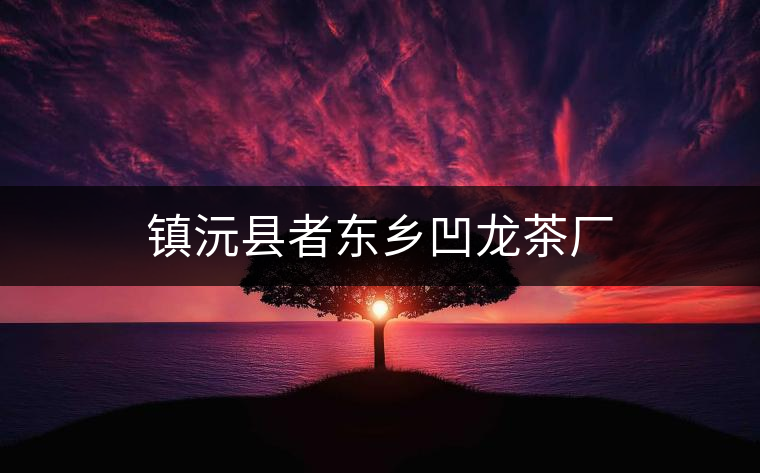 鎮(zhèn)沅縣者東鄉(xiāng)凹龍茶廠(chǎng)
