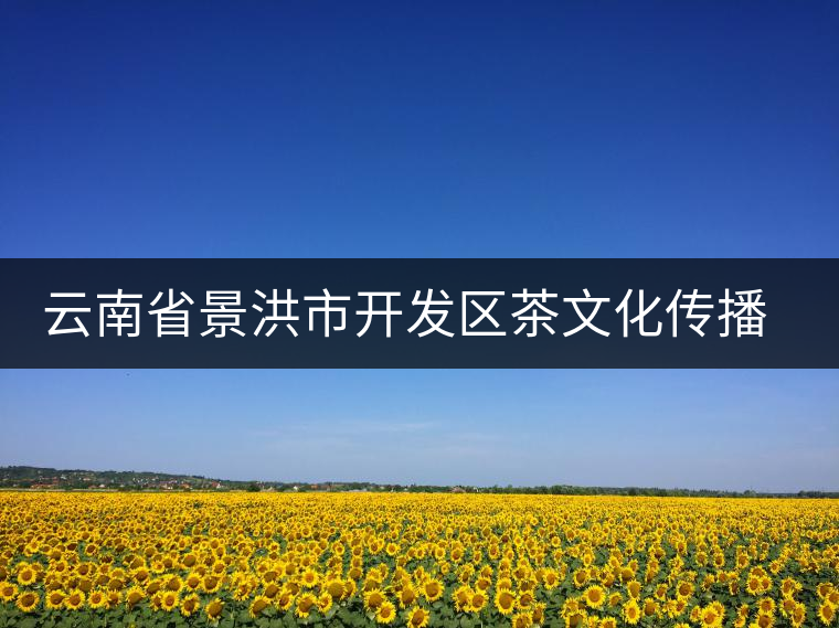 云南省景洪市開(kāi)發(fā)區(qū)茶文化傳播中心