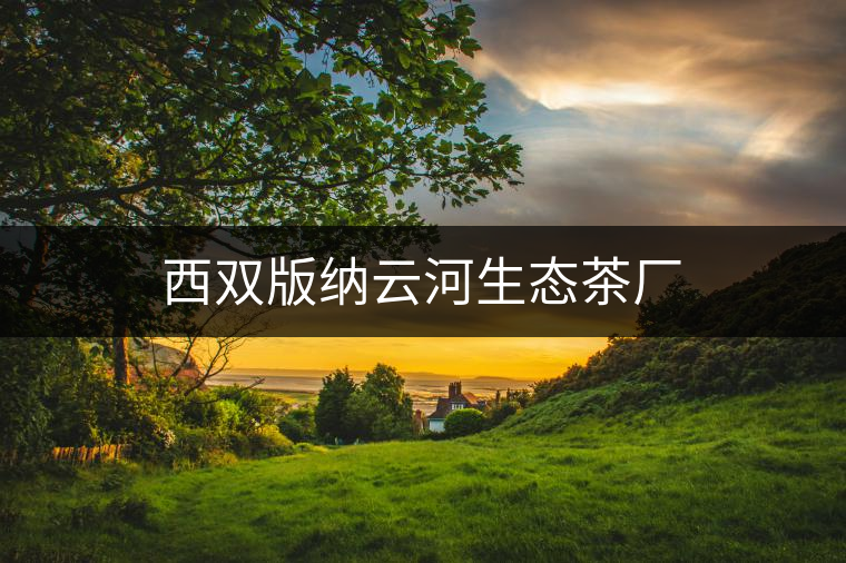 西雙版納云河生態(tài)茶廠 西雙版納云河生態(tài)茶廠