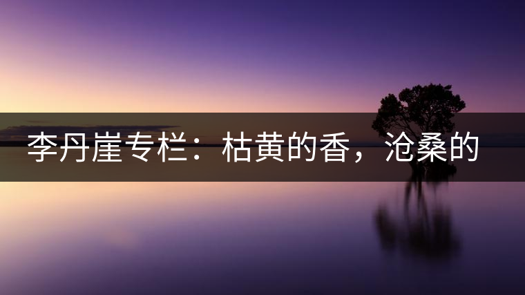 李丹崖專欄：枯黃的香，滄桑的暖