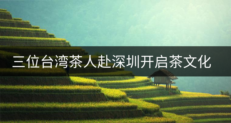 三位臺(tái)灣茶人赴深圳開啟茶文化盛宴 三位臺(tái)灣茶人赴深圳開啟茶文化盛宴