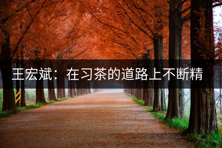 王宏斌:在習(xí)茶的道路上不斷精進 王宏斌:在習(xí)茶的道路上不斷精進