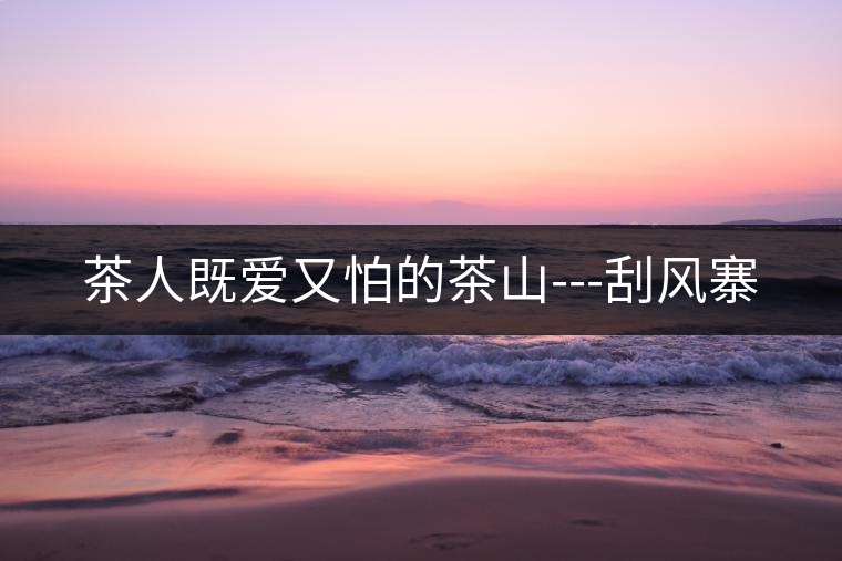 茶人既愛又怕的茶山---刮風(fēng)寨 茶人既愛又怕的茶山---刮風(fēng)寨