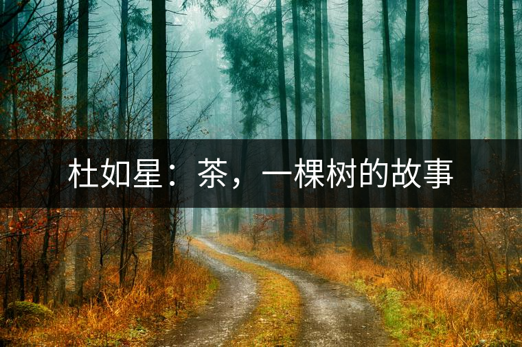 杜如星：茶，一棵樹的故事