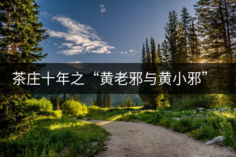 茶莊十年之“黃老邪與黃小邪”(云南黃素貞) 茶莊十年之“黃老邪與黃小邪”(云南黃素貞)