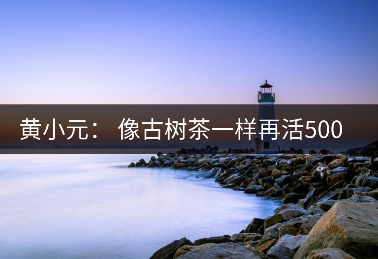 黃小元: 像古樹(shù)茶一樣再活500年 黃小元: 像古樹(shù)茶一樣再活500年