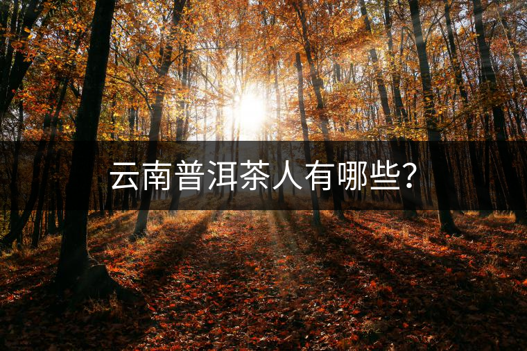 云南普洱茶人有哪些？