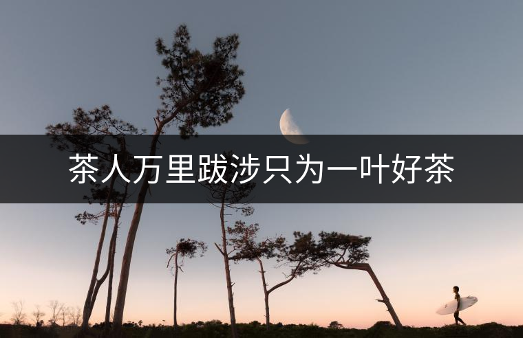 茶人萬里跋涉只為一葉好茶 茶人萬里跋涉只為一葉好茶