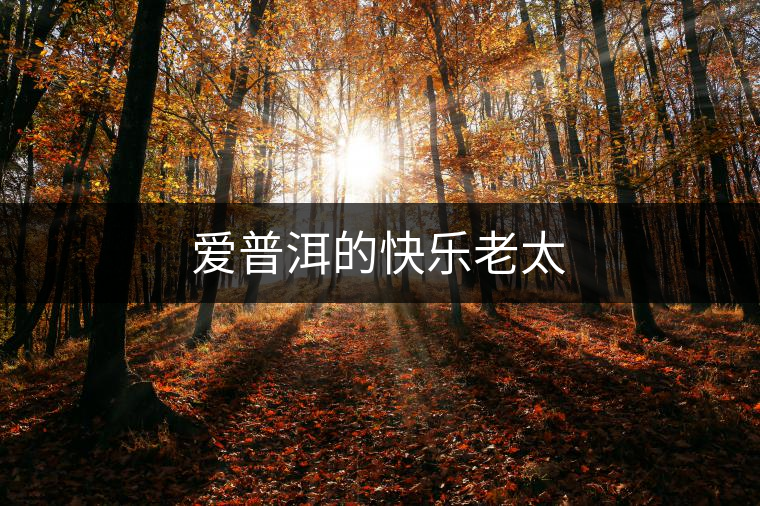 愛(ài)普洱的快樂(lè)老太