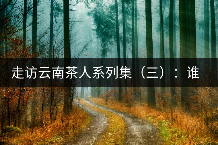 走訪云南茶人系列集（三）：誰(shuí)說(shuō)普洱不產(chǎn)茶？——張順高