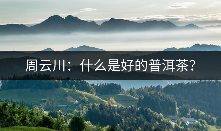 周云川：什么是好的普洱茶？