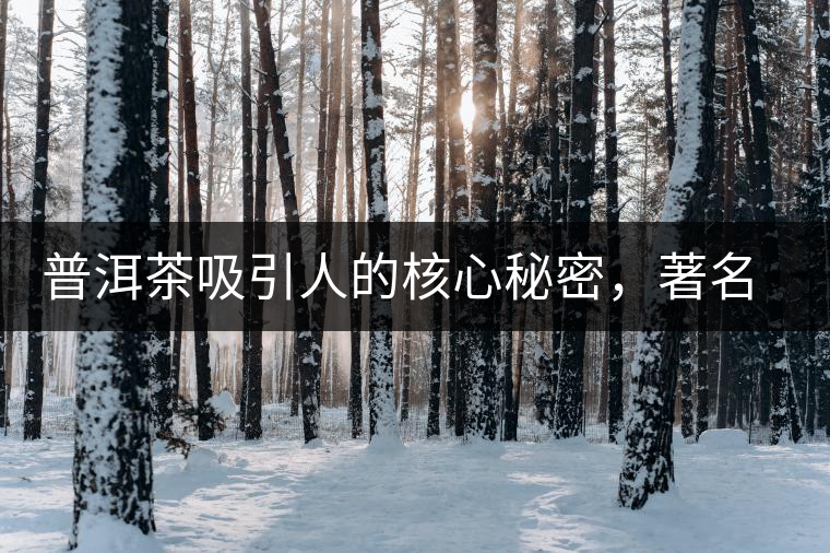 普洱茶吸引人的核心秘密，著名作家余秋雨先生三句話就告訴你