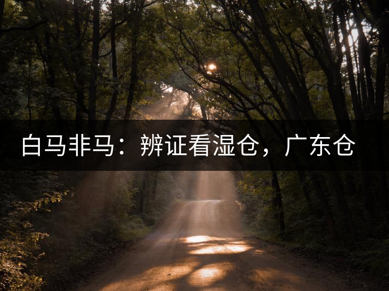 白馬非馬：辨證看濕倉(cāng)，廣東倉(cāng)、香港倉(cāng)不能簡(jiǎn)單等同濕倉(cāng)