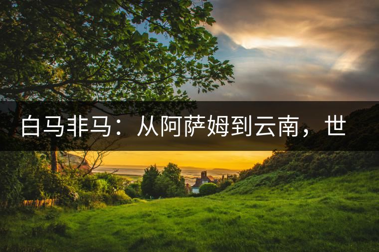 白馬非馬：從阿薩姆到云南，世界茶樹起源爭論的誤區(qū)