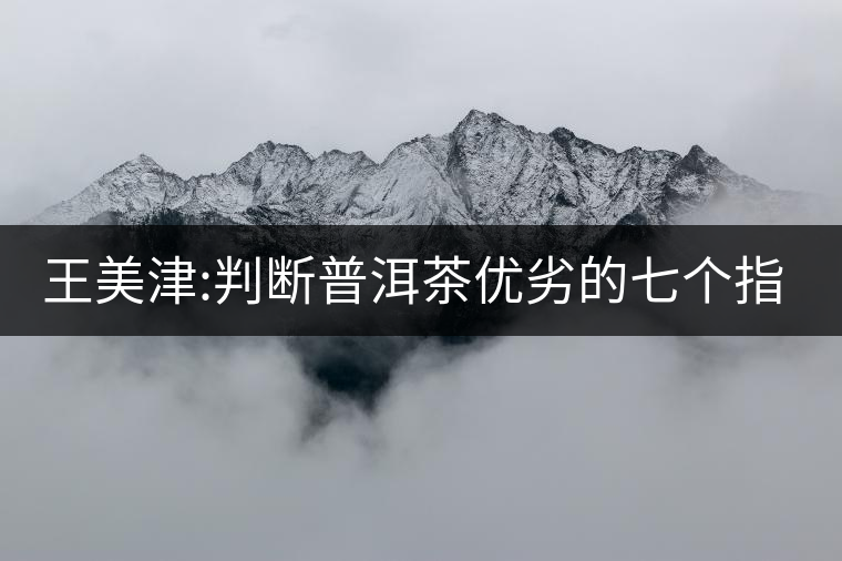 王美津:判斷普洱茶優(yōu)劣的七個指標之“質” 王美津:判斷普洱茶優(yōu)劣的七個指標之“質”