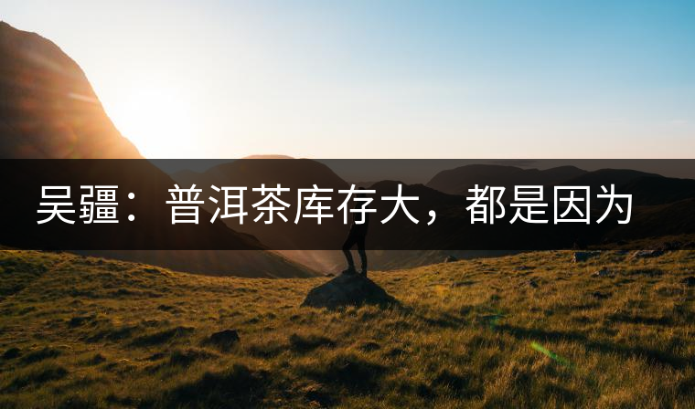 吳疆：普洱茶庫存大，都是因為“越陳越香”