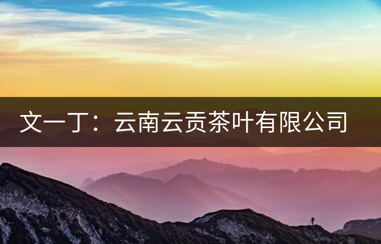 文一?。涸颇显曝暡枞~有限公司總經理 文一丁:云南云貢茶葉有限公司總經理