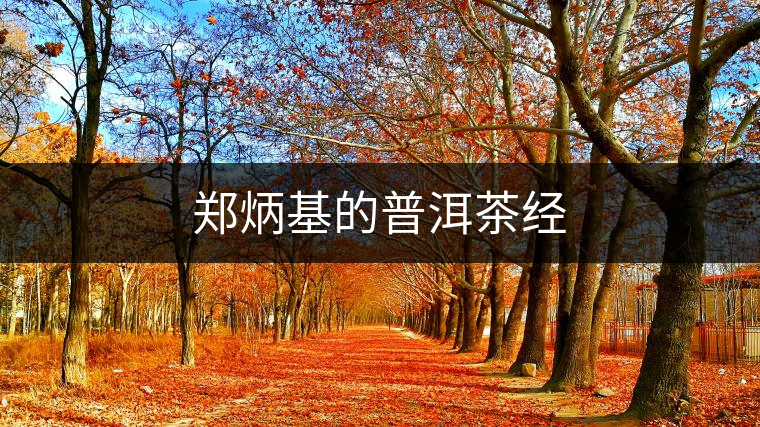 鄭炳基的普洱茶經(jīng)