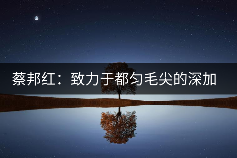 蔡邦紅：致力于都勻毛尖的深加工